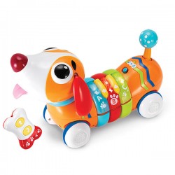 اسباب بازی سگ رنگین کمان کنترلی Winfun